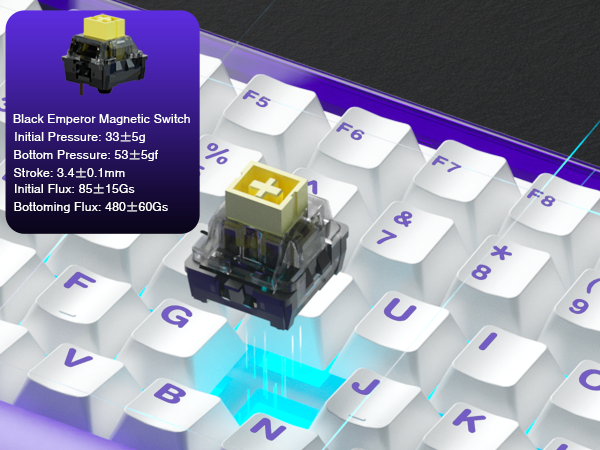 leobog magnetic Switch