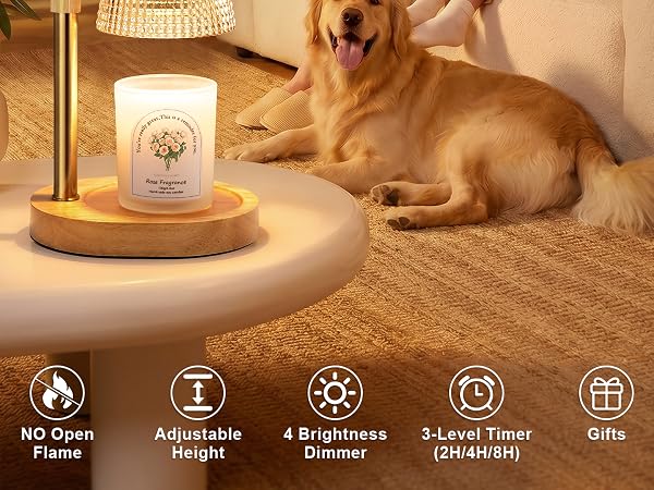 candle warmer