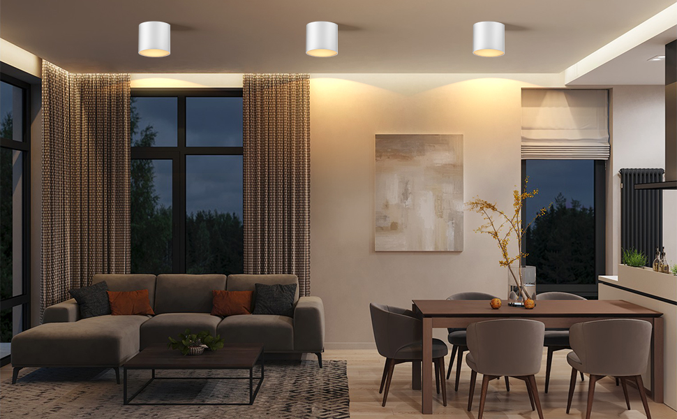 ceiling light fixtures