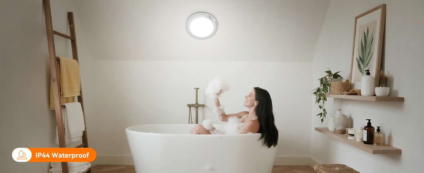 Motion Sensor Ceiling Light
