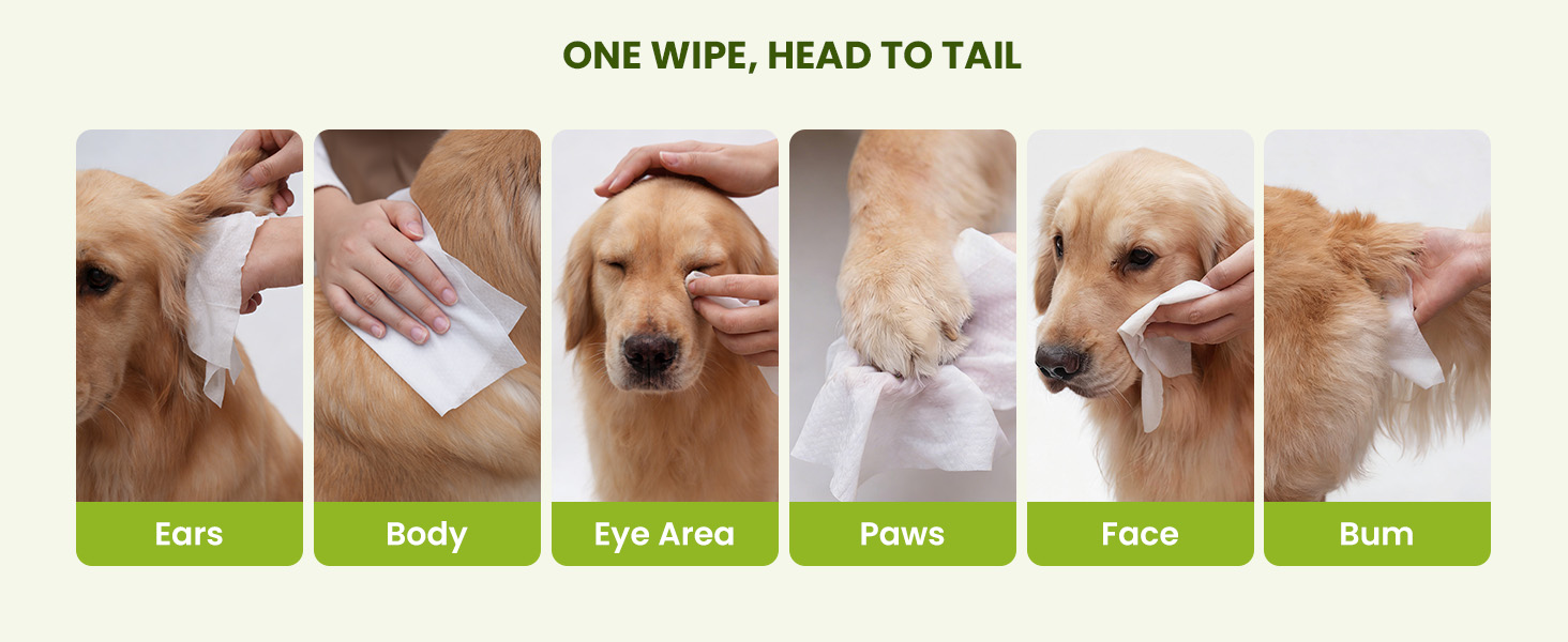 cat wipes