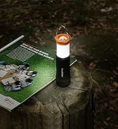 EverBrite