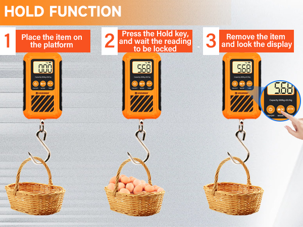 Digital Luggage Scale