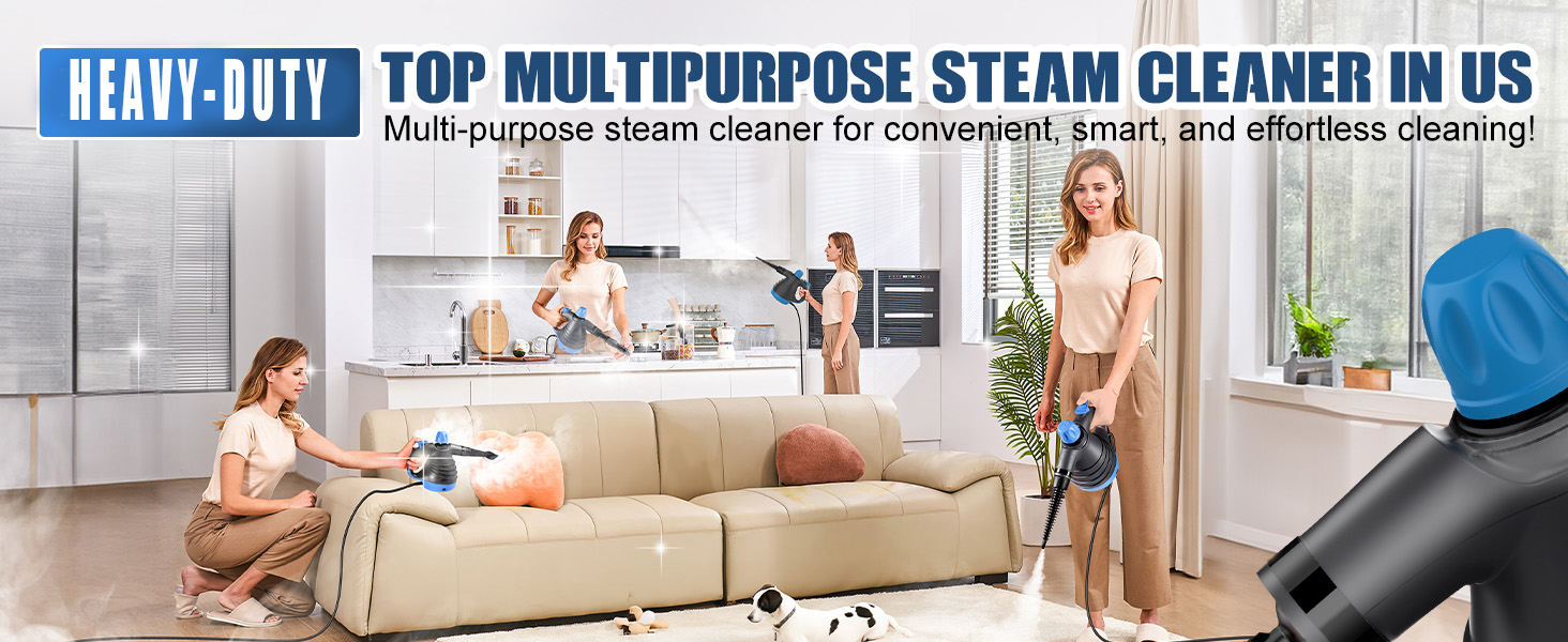 steamer for car detailing