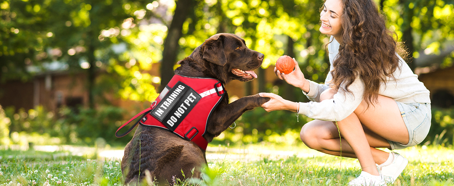 emotional support dog harness red