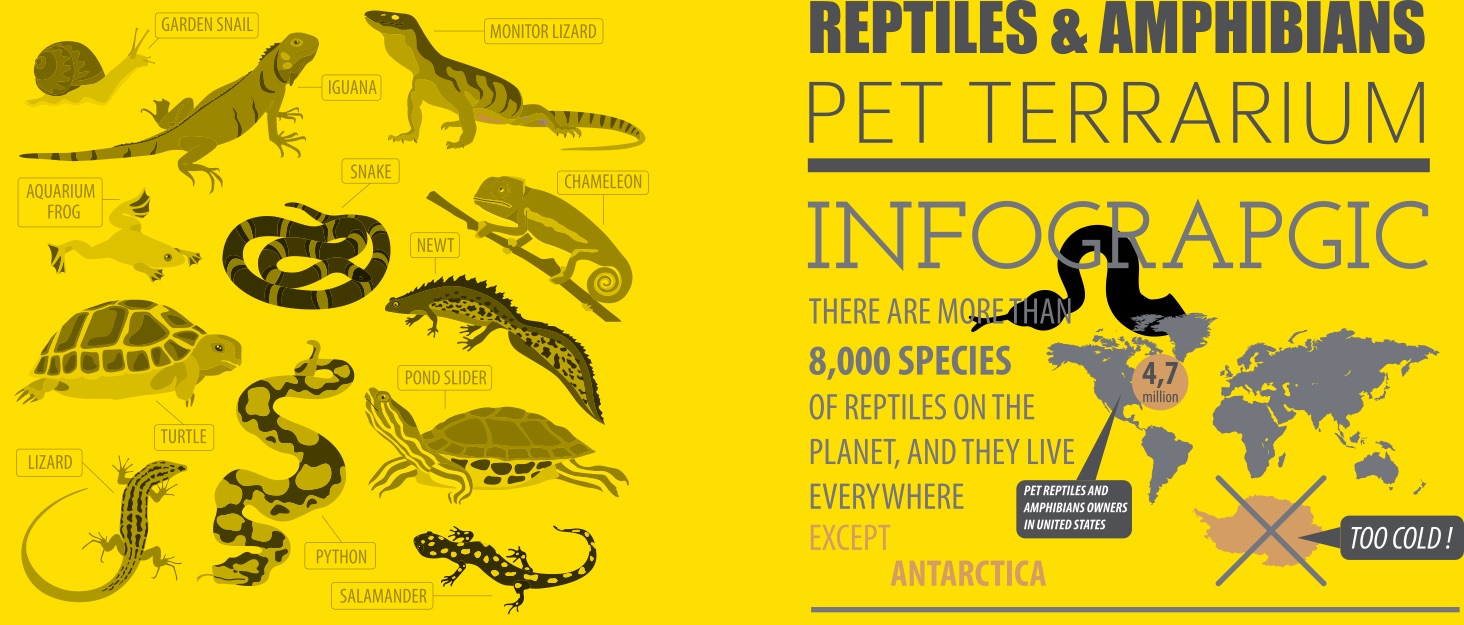 REPTIKING