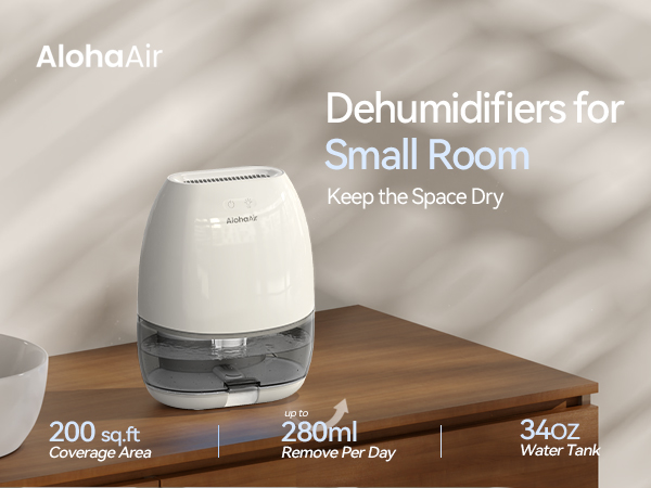 Small Dehumidifier