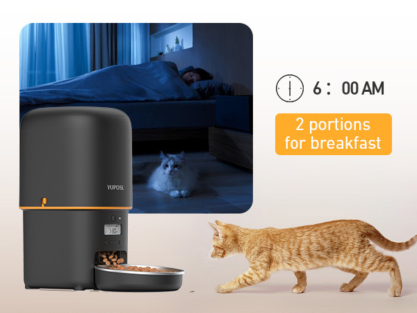 automatic cat feeder automatic cat food dispenser