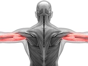 push up bars