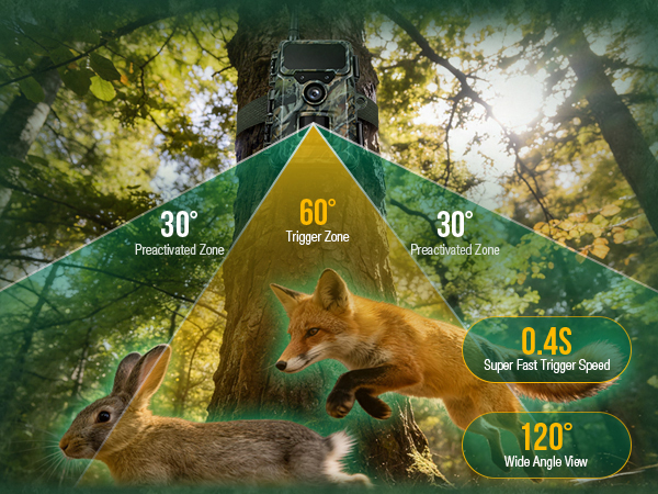 wildlife trail camera
