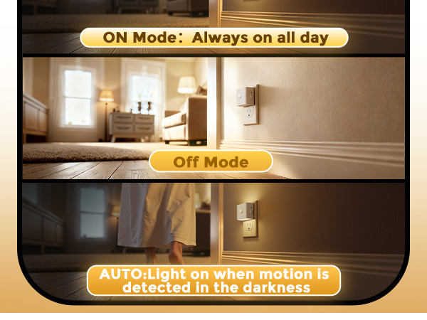 Light Sensor & Motion Sensor