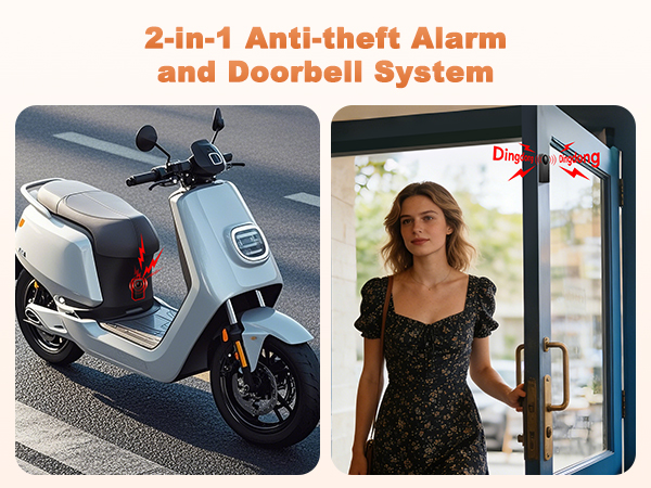 car alarm2