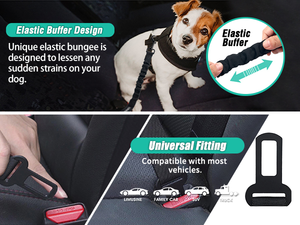 dog seat belt