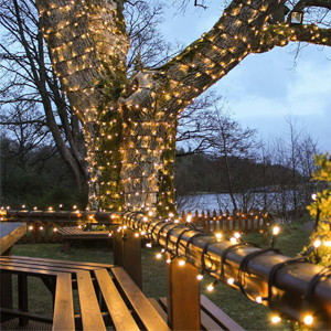 solar led lights
