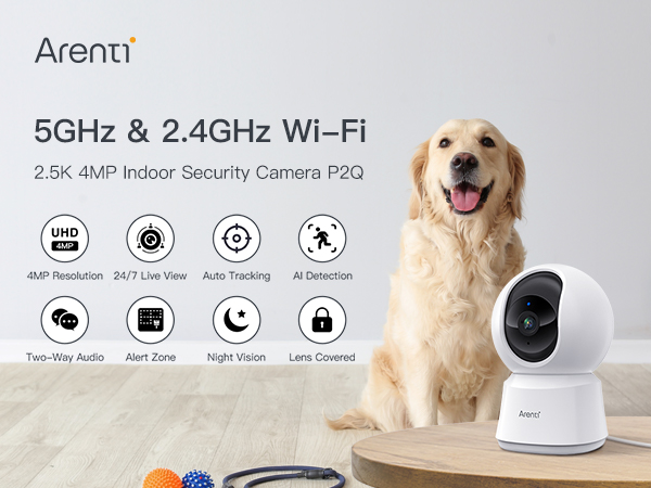 P2Q Indoor Security Camera