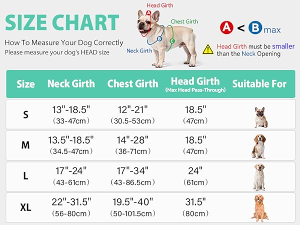 dog harness