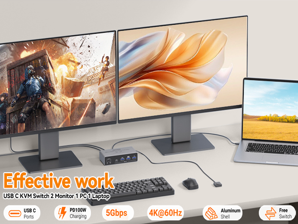 KVM Switch 2 Monitors 2 Computers