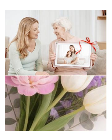 https://m.media-amazon.com/images/S/aplus-media-library-service-media/817bded7-84d8-4a9c-bb16-63d7c9da1c12.__CR0,0,362,453_PT0_SX362_V1___.jpg