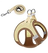 brown dog harness