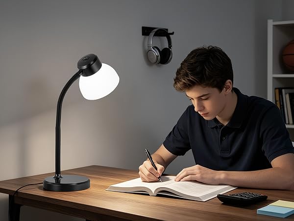 Reading Lamp
