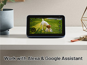 work with alexa