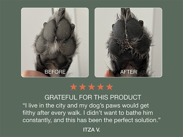Dandylion Clean Paws 5 star review