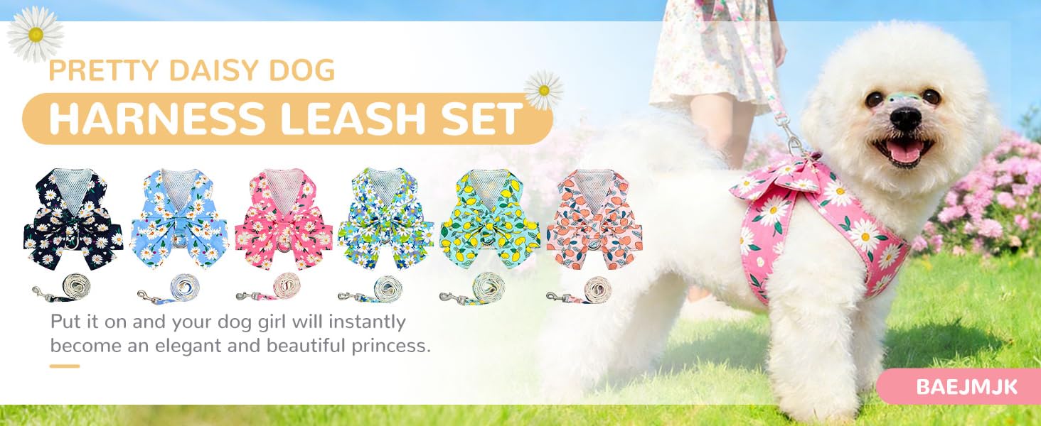 Dog Harness and Leash Set
