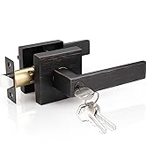 Entry Door Lever