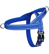 rabbitgoo Dog Harness No Pull,Quick fit for Large Dogs with Soft Padded Handle, Chest Adjustable ...