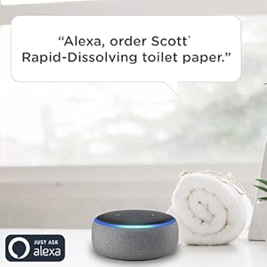 Order Through Alexa