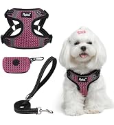 PUPTECK No Pull Dog Harness and Leash Set Reflective No Choke Step in Puppy Halter for XS Small a...