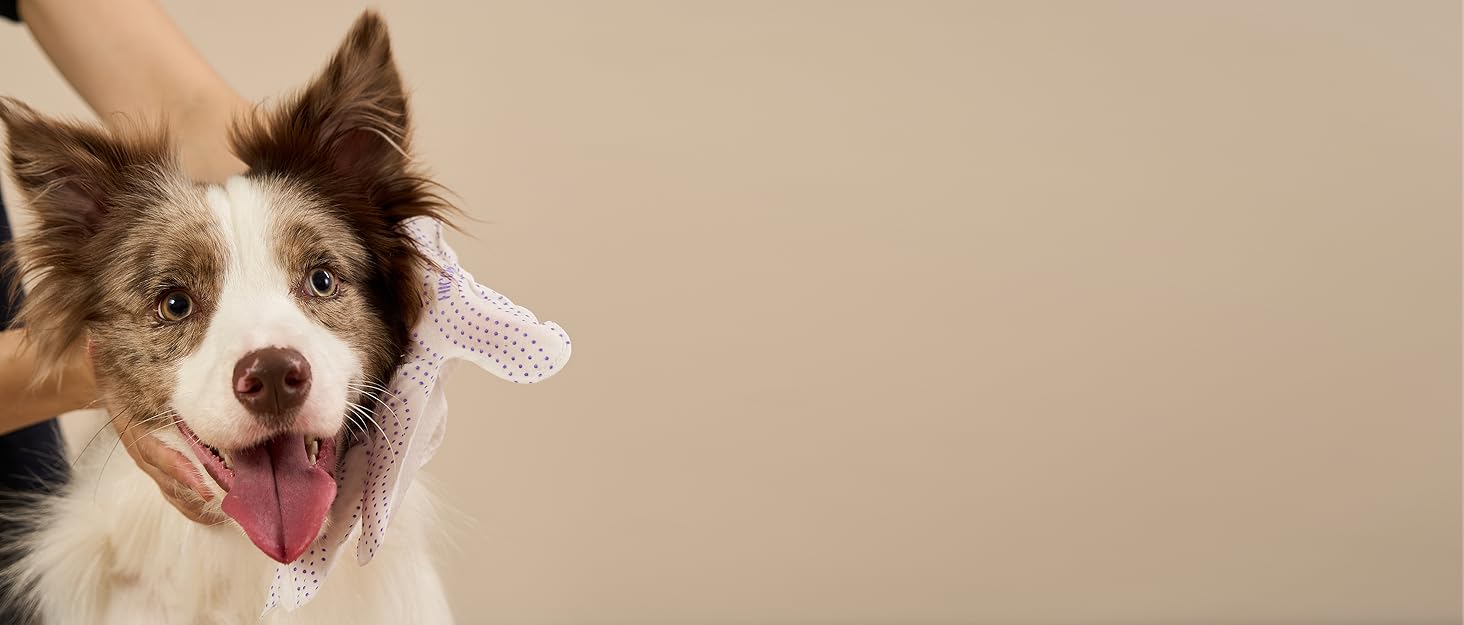 Brand About HICC PET