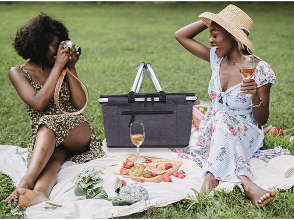 picnic time