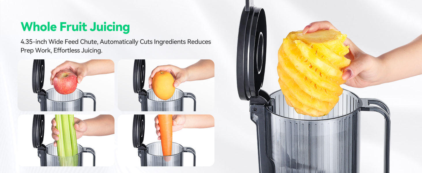 slow juicer