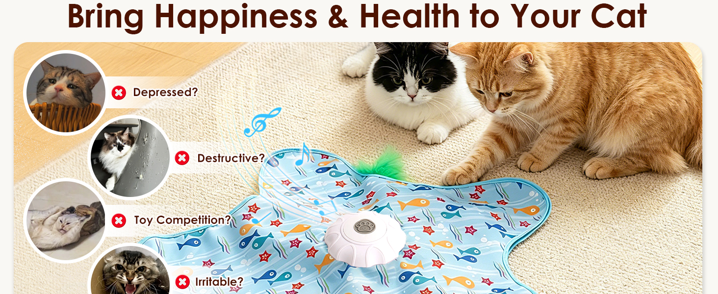Interactive Cat Toys Rechargeable