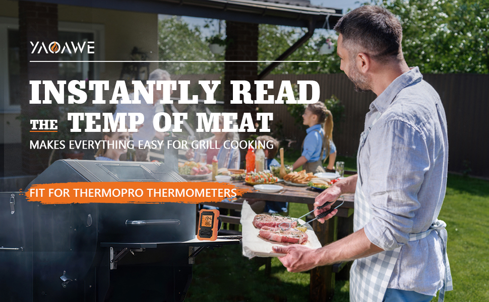 meat thermometer probe replacement