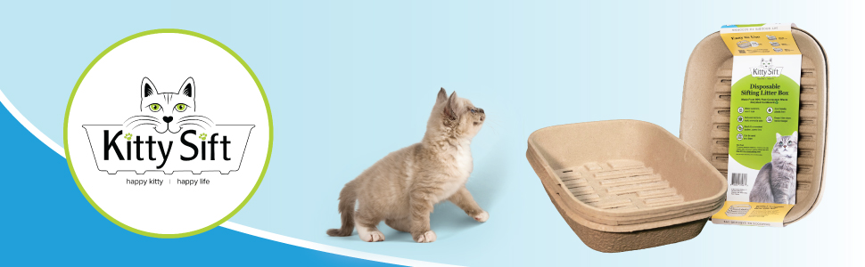 kitty sift header