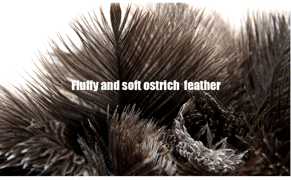 ostrich feather duster