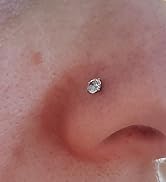 fake nose stud 625