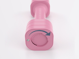 Adjustable Dumbbell Set of 2 Adjustable Weights Dumbbells Set Free Weights Dumbbells Set for Women