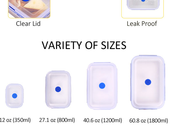 Translucent Collapsible Silicone Food Storage Containers with Lids