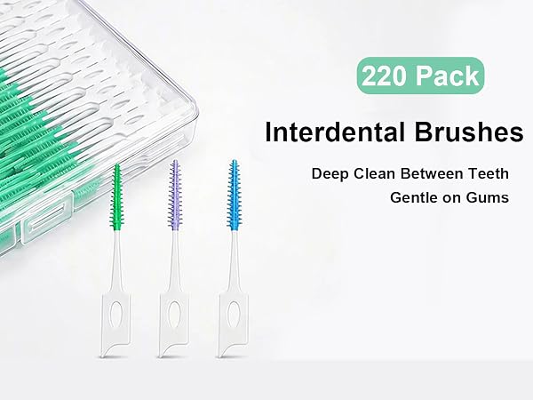 interdental Pixk