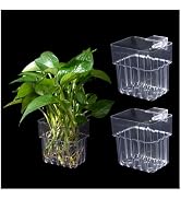 Aquarium Plant Holder,2Pack Transparent Hanging Pot for Fish Tank Aquatic Plant Cultivation and A...