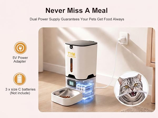 cat auto feeder