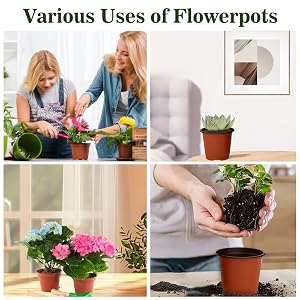 pots for indoor plants small plant pots nursery pots for plants plastic pots for plants