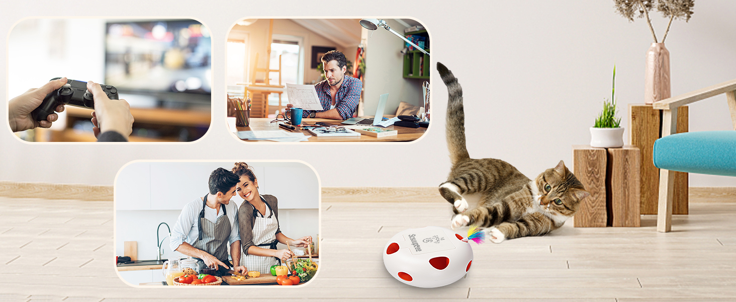 cat toys