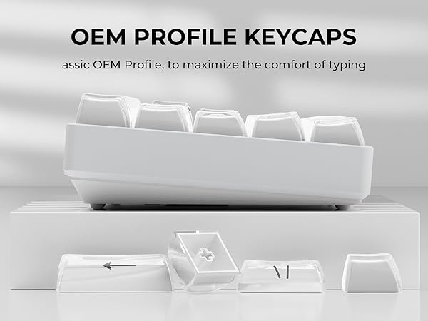 OEM Profile