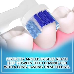 oral b refill