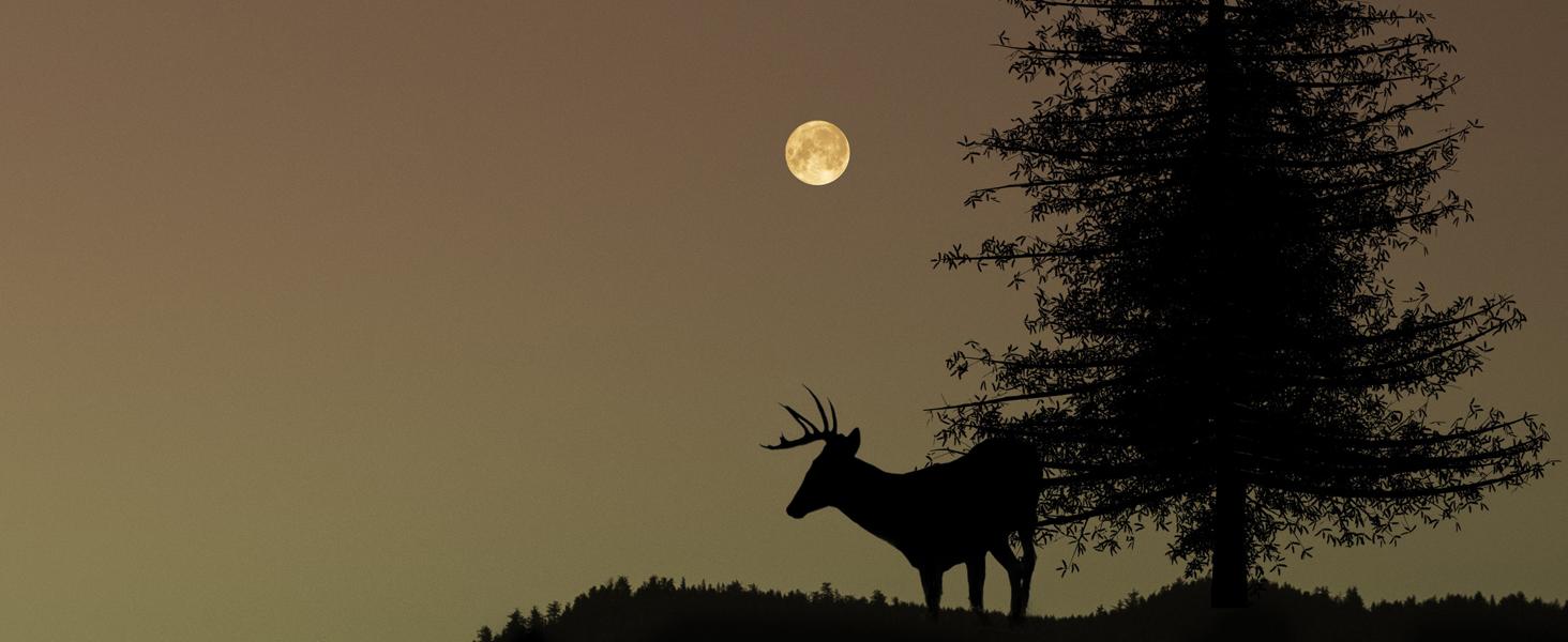 Ideal for Nighttime and Low Light Situations