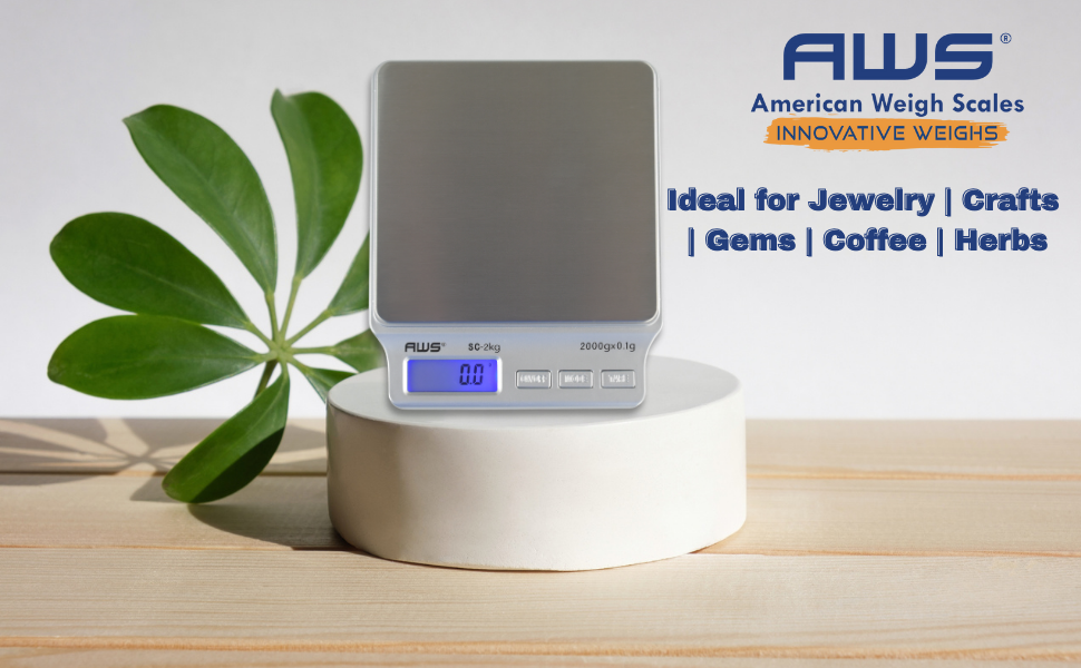 digital kitchen scale